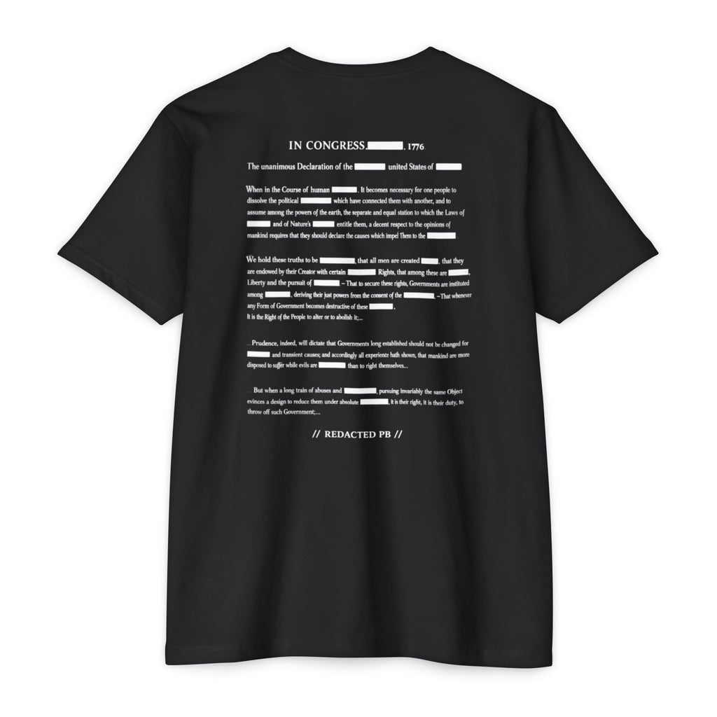[CLASSIFIED] // Founding Document – Redacted File