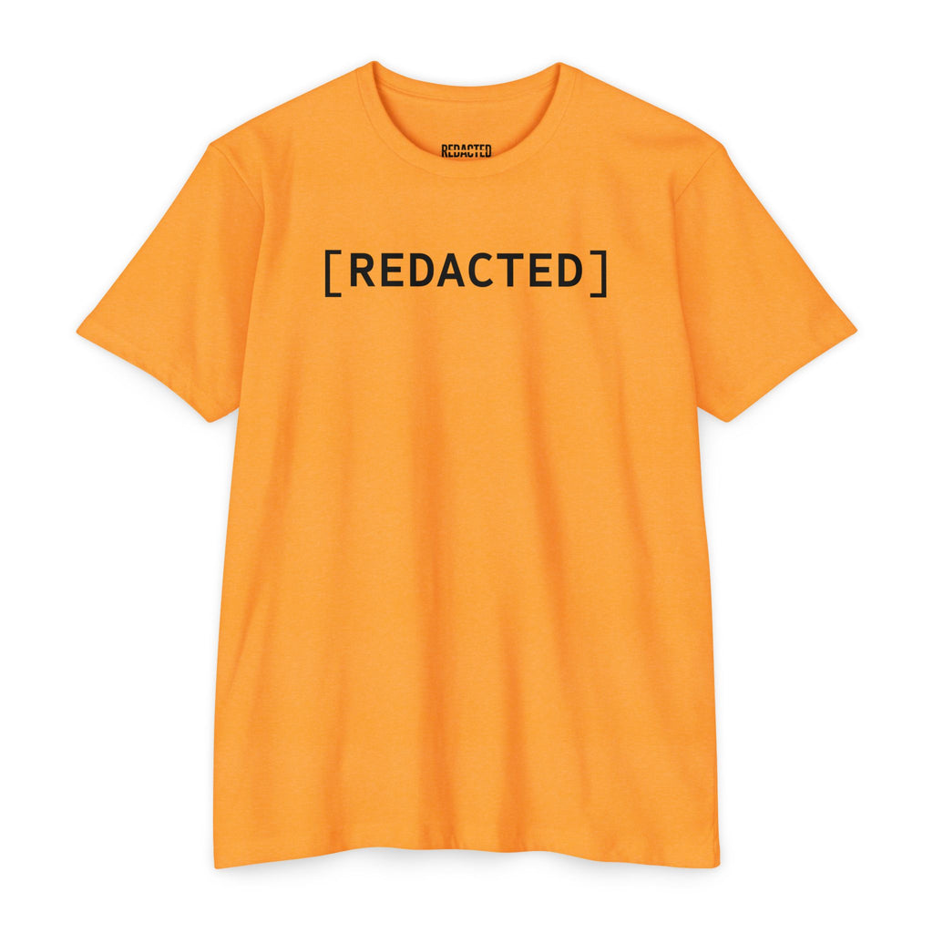 [CLASSIFIED] // Founding Document – Redacted File